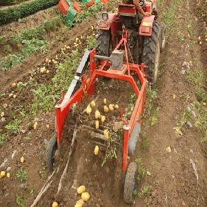 tractor patato harvester
